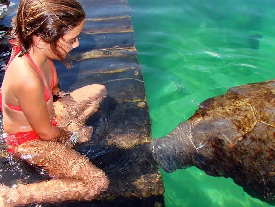 Brisas Puerto Morelos מקסיקו
